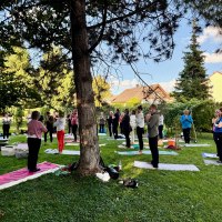 Yoga &Wein