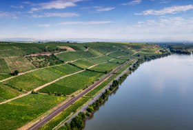 Niersteiner Pettenthal