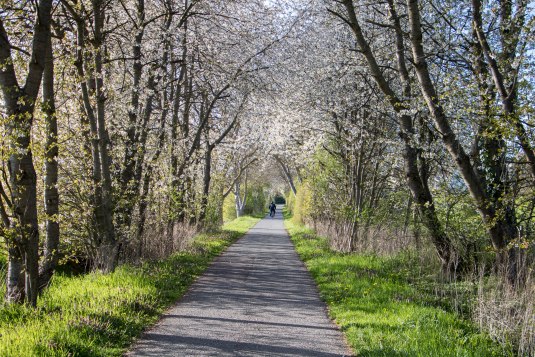 Ein fruchtiges Raderlebnis - Die Westschleife der Obstroute, &copy; &copy; Intensive Senses
