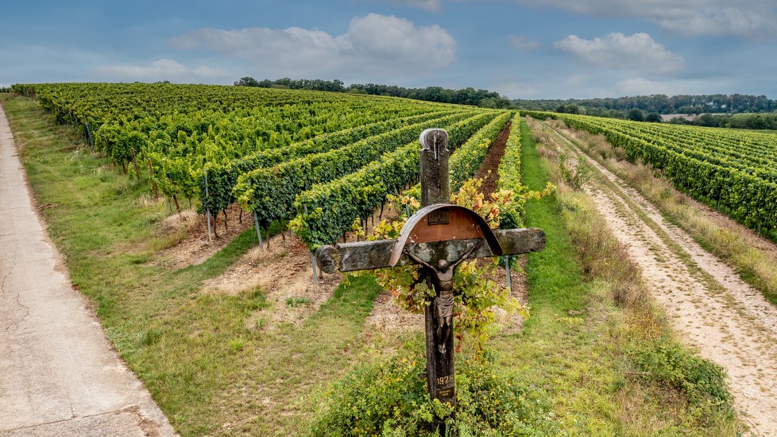 Hackenheimer Kirchberg