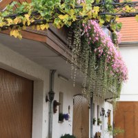 Bilder Haus A. M&auml;rtesheimer 050