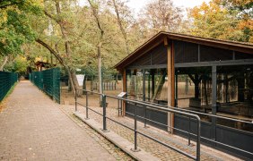 Wildpark Gonsenheim &copy; Isabella Heider