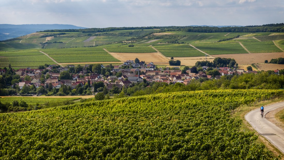 Sankt Johanner Klostergarten, © Torsten Silz