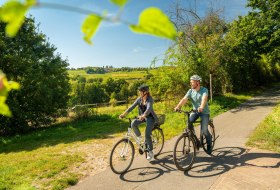 Auf dem Selztalradweg bei Ingelheim &copy; &copy; Dominik Ketz