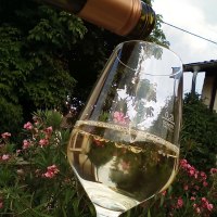Weingut Sitzius &copy; Weingut Sitzius