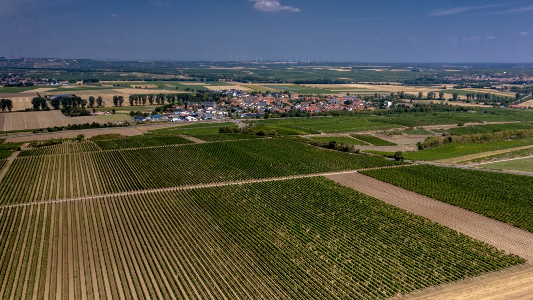 M&ouml;rstadter Nonnengarten