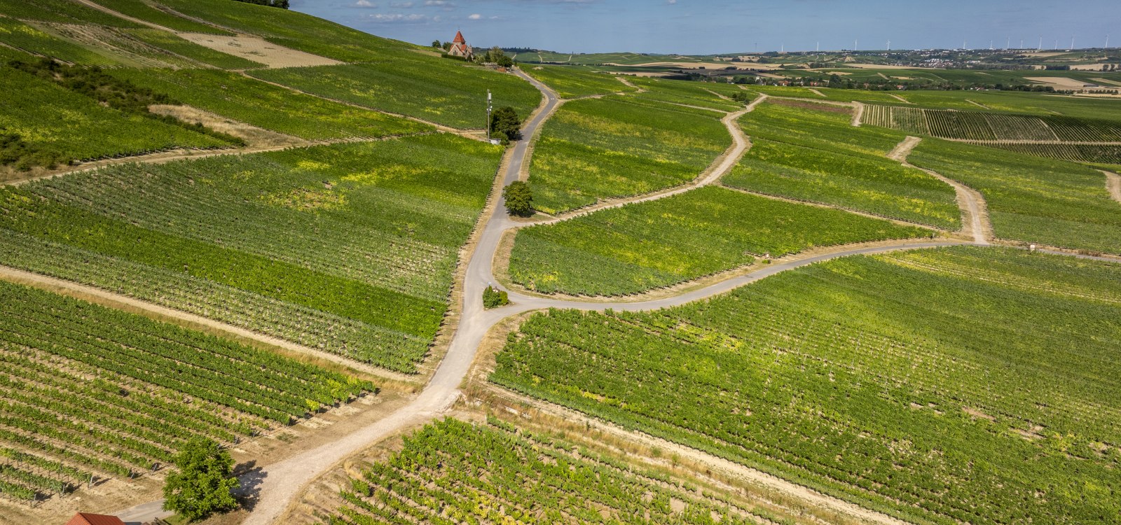 Gau-Bickelheimer Saukopf, © Torsten Silz