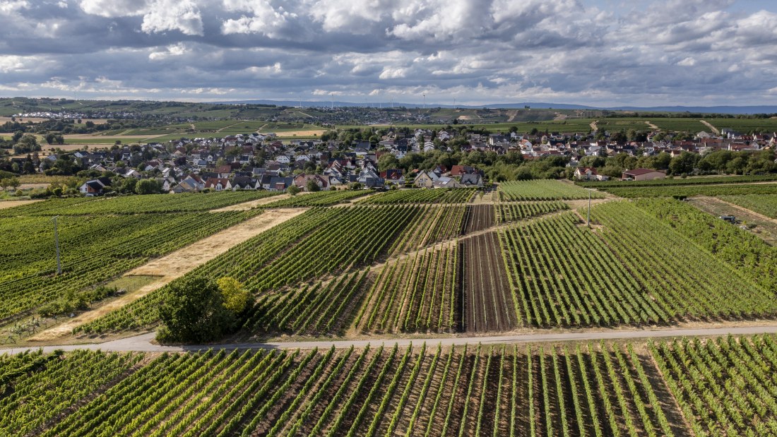 L&ouml;rzweiler K&ouml;nigstuhl