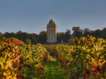 Bismarckturm mit Blick von den Weinbergen © Rainer Oppenheimer/Stadt Ingelheim