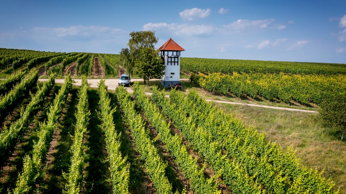 Jugenheimer Goldberg