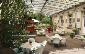 Hof im Weignut Dr. Alex Senfter &copy; Weingut Dr. Alex Senfter