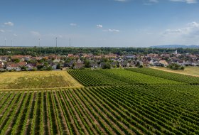Heppenheimer Schneckenberg © Torsten Silz