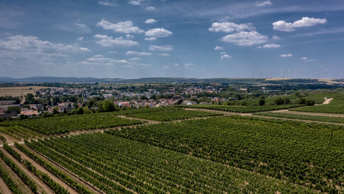 Monsheimer Rosengarten