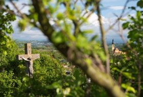 Weingut Schmitz_Ausblick &copy; Weingut Schmitz