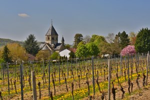 Panormaweg-Traumhafte Weitblicke, &copy; Rainer Oppenheimer
