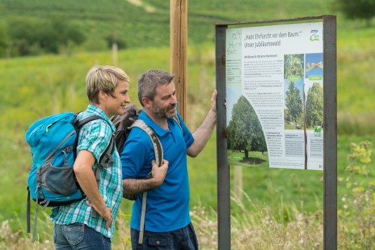 Hiworld tour Zornheimer mountain information board, &copy; Dominik Ketz