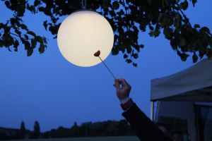 "Vollmond" in der Birnbaumreihe