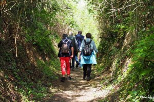 Wanderung WeinErlebnisPfad, &copy; Verkehrsverein Guntersblum / Rhein e.V.