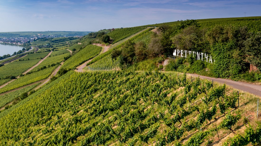 Niersteiner Pettenthal
