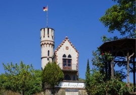 Leckzapfen, &copy; Carsten Costard