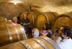 Weingut Helmut Best_Keller &copy; Weingut Helmut Best