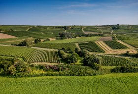 Saulheimer Schloßberg