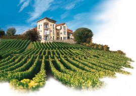 Hofgut Wi&szlig;berg - Das Weinberghotel