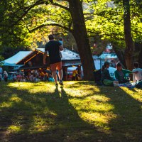 Gr&uuml;nfl&auml;chen auf dem Mainzer Weinmarkt &copy; Sina Schollmayer