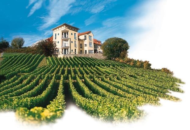 Hofgut Wi&szlig;berg - Das Weinberghotel