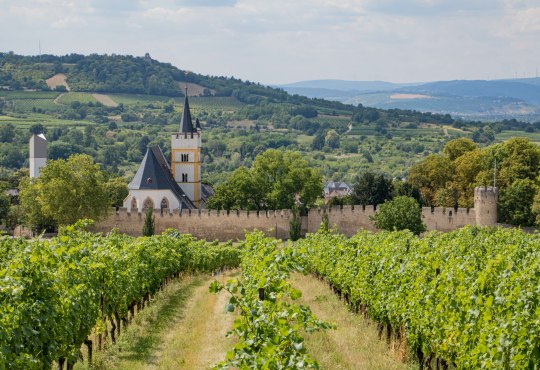 staedtetripp-rh-ingelheim-rotweinfest