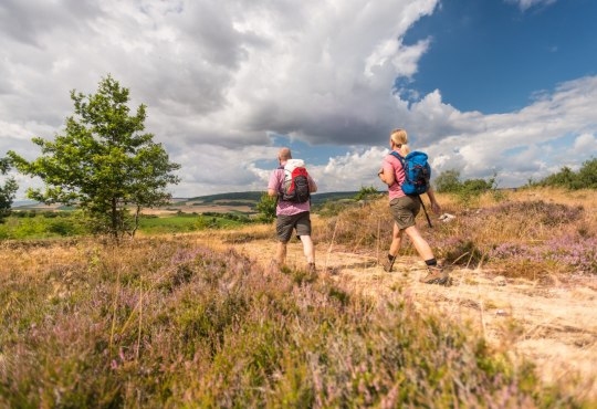 Heathland near Siefersheim, &copy; Dominik Ketz