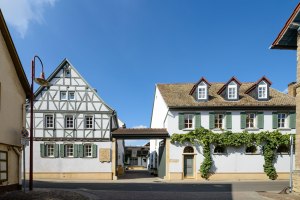 K&ouml;ster Wolf | Wf