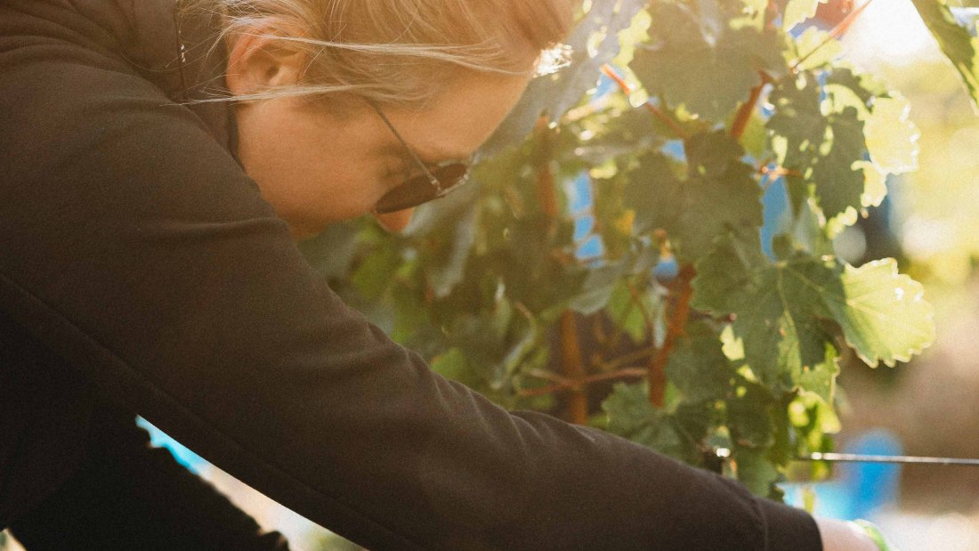 vintage1, &copy; Weingut & G&auml;stehaus Volker Schmitt