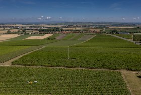 Friesenheimer Bergpfad