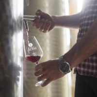 Weingut Ochs2 &copy; Weingut Ochs