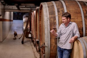 &copy; Weingut Sander