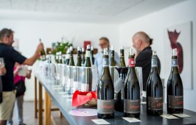Gro&szlig;e Gutsweinprobe &copy; Weingut Br&uuml;der Dr. Becker