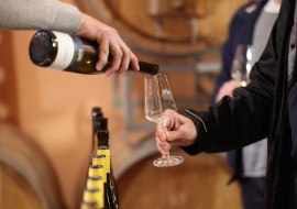 Fr&uuml;hling im Posthof, &copy; Weingut Posthof Doll & G&ouml;th