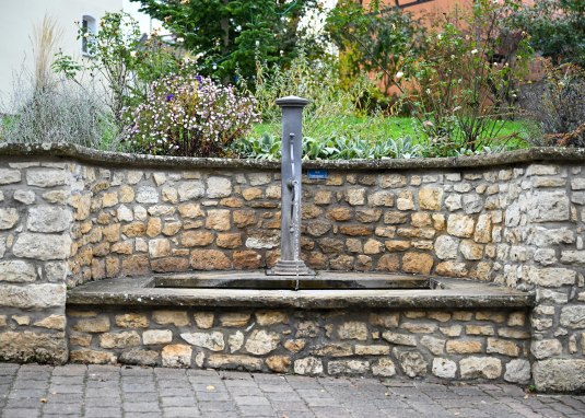 Weed &copy; Touristikverein Wonnegau e.V.