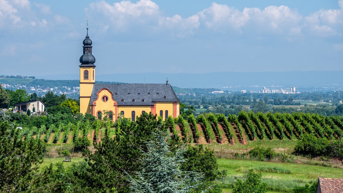 Nackenheimer Rothenberg