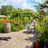 Garten Genussgarten &copy; Genussgarten