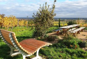 Tisch des Weines Alsheim &copy; by inMEDIA