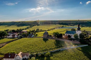 Vineyard site "Niersteiner Gl&ouml;ck" at sunset. Above the vineyard site lies the Kilianskirche, a landmark in Nierstein., &copy; Torsten Silz