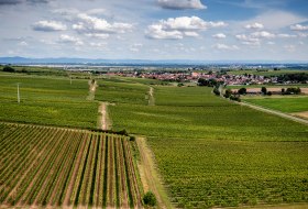 Bechtheimer Hasensprung