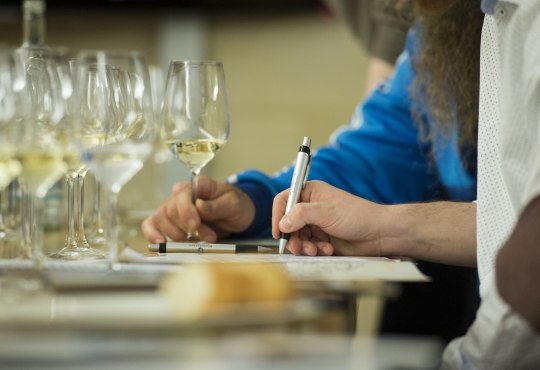 Wine tasting with press, &copy; Marco Urban