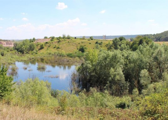 Aussicht auf den alten Steinbruch © Rheinhessen-Touristik GmbH