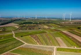 Biebelnheimer Rosengarten