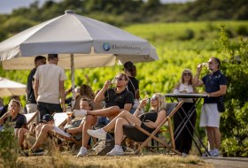 Weinfest in Rheinhessen mit Menschen, die entspannt im Liegestuhl unter Sonnenschirmen Wein genie&szlig;en &ndash; sommerliches Weinerlebnis inmitten der Weinberge.