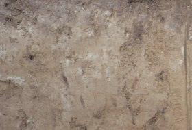 L&ouml;ss Tschernosem &copy; Landesamt f&uuml;r Geologie und Bergbau Rheinland-Pfalz