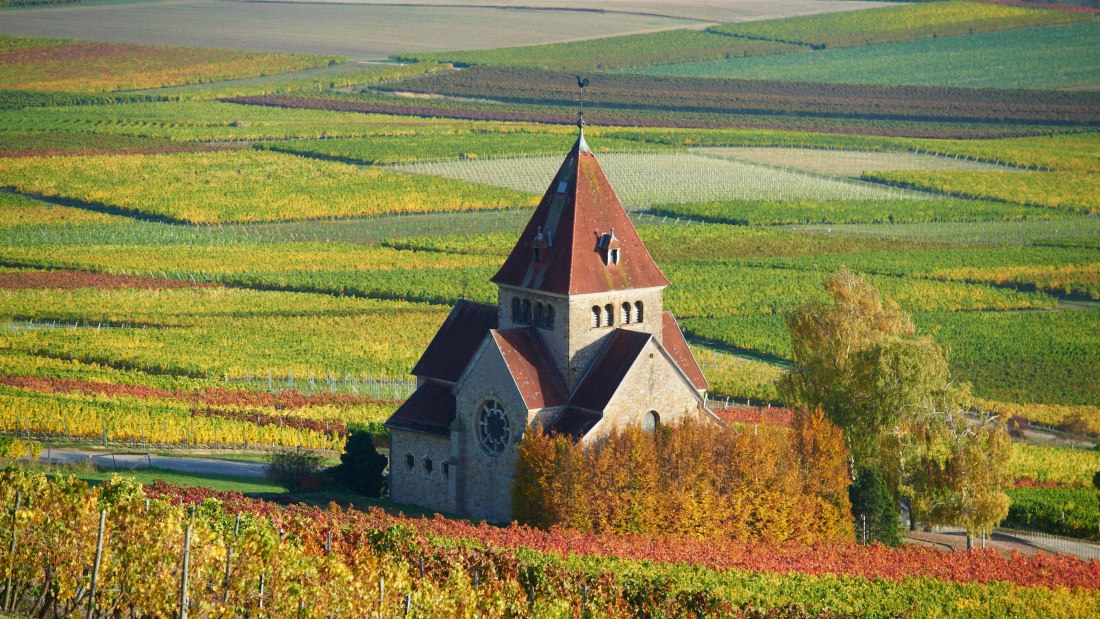 wine_location/wissberg_1.jpg, © Robert Dieth